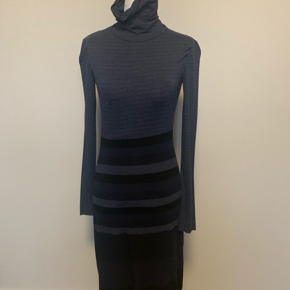 Bailey Turtleneck Dress